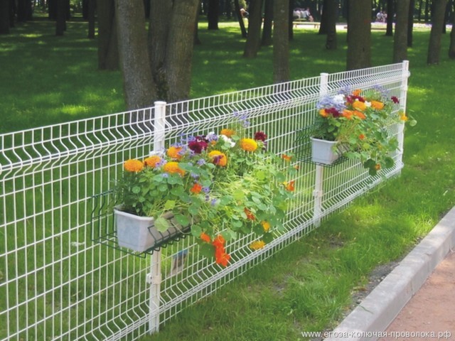 园林景区案例图片4