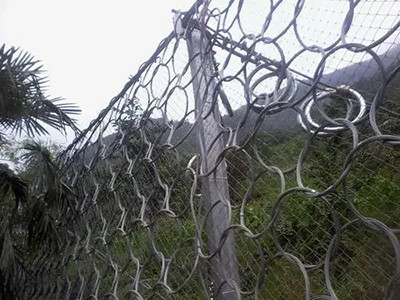 环形被动防护网图片2 环形被动防护网图片2