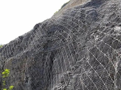 主动防护网图片1 主动防护网图片1